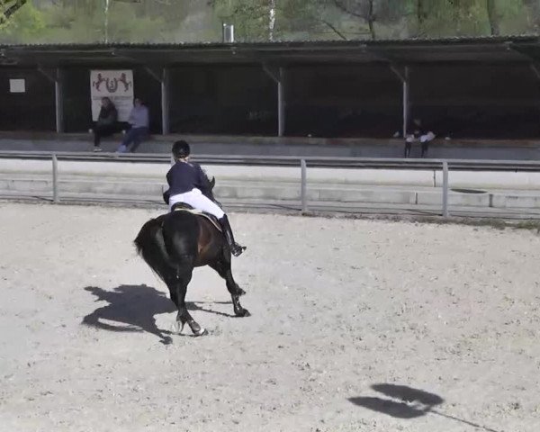Frühjahrs-Reitturnier Ingolstadt-Hagau 2016