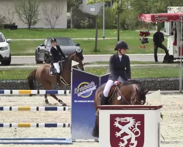 Frühjahrs-Reitturnier Ingolstadt-Hagau 2016