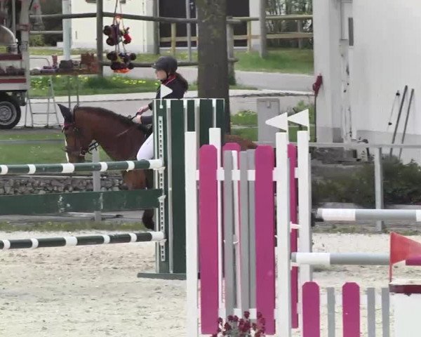 Frühjahrs-Reitturnier Ingolstadt-Hagau 2016