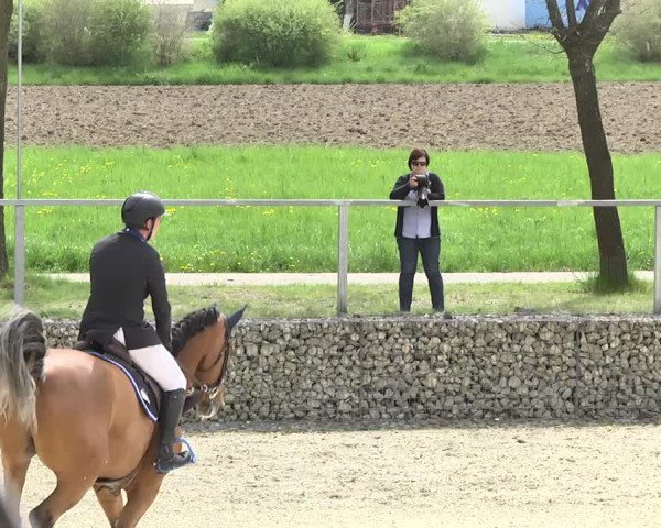Frühjahrs-Reitturnier Ingolstadt-Hagau 2016