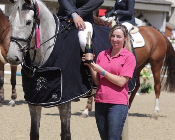 Springpferd Billy Pearl (Anglo Europäisches Sportpferd, 2013, von Cevin Z)