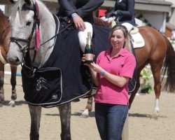 Springpferd Billy Pearl (Anglo Europäisches Sportpferd, 2013, von Cevin Z)