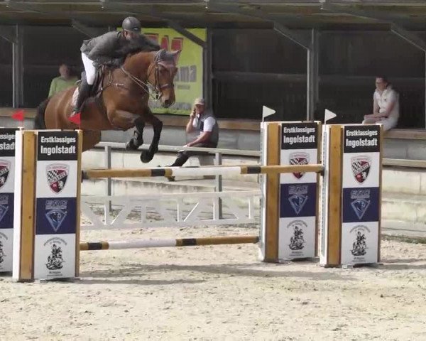 Frühjahrs-Reitturnier Ingolstadt-Hagau 2016