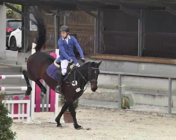 Frühjahrs-Reitturnier Ingolstadt-Hagau 2016