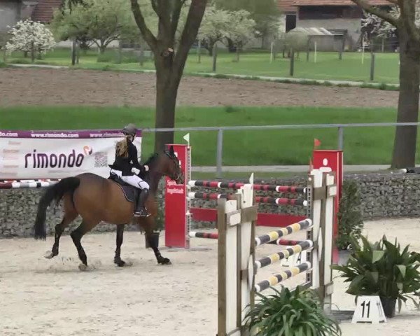 Frühjahrs-Reitturnier Ingolstadt-Hagau 2016