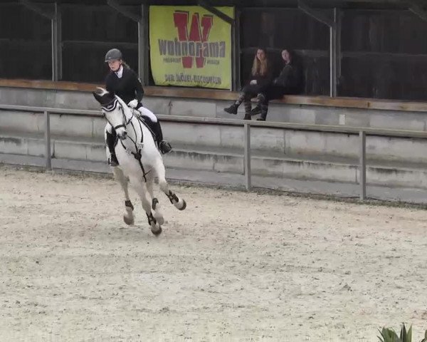 Frühjahrs-Reitturnier Ingolstadt-Hagau 2016
