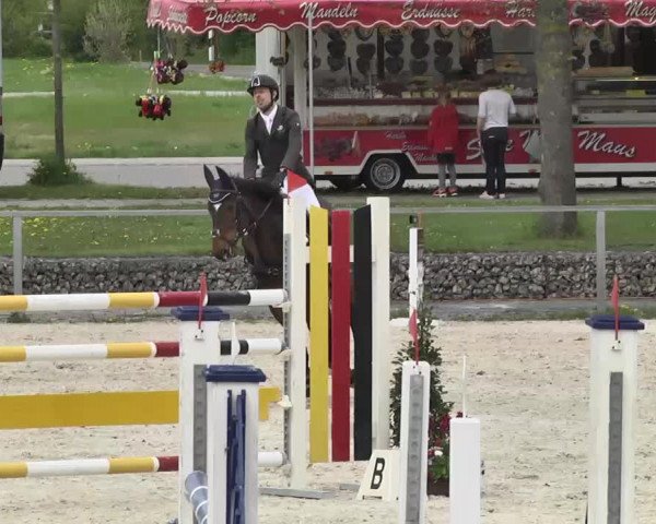 Frühjahrs-Reitturnier Ingolstadt-Hagau 2016