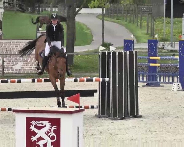 Frühjahrs-Reitturnier Ingolstadt-Hagau 2016