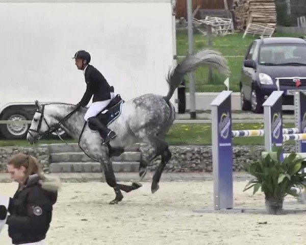 Frühjahrs-Reitturnier Ingolstadt-Hagau 2016