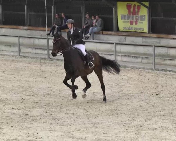Frühjahrs-Reitturnier Ingolstadt-Hagau 2016