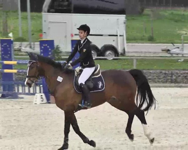 Frühjahrs-Reitturnier Ingolstadt-Hagau 2016