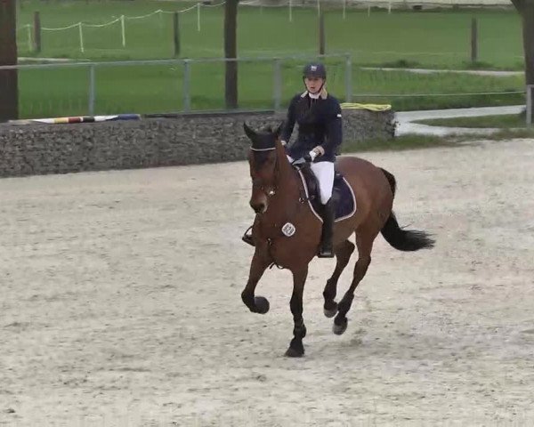 Frühjahrs-Reitturnier Ingolstadt-Hagau 2016