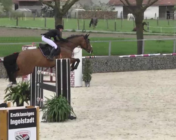 Frühjahrs-Reitturnier Ingolstadt-Hagau 2016