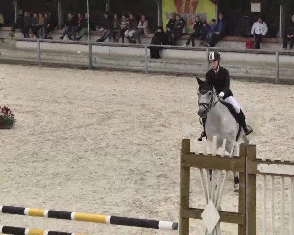 Frühjahrs-Reitturnier Ingolstadt-Hagau 2016