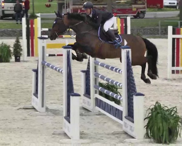 Frühjahrs-Reitturnier Ingolstadt-Hagau 2016