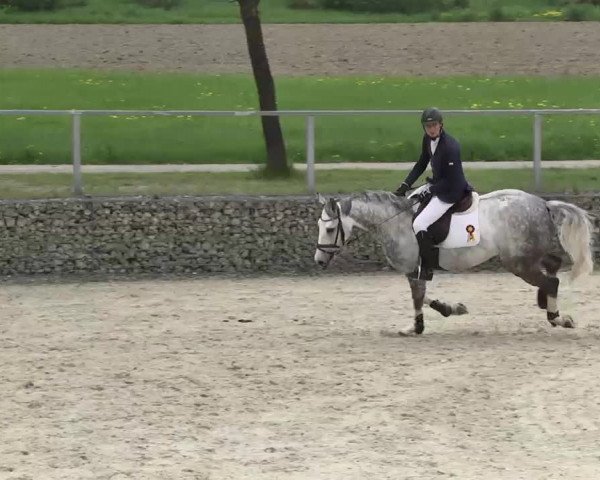 Frühjahrs-Reitturnier Ingolstadt-Hagau 2016