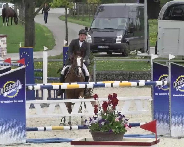 Frühjahrs-Reitturnier Ingolstadt-Hagau 2016
