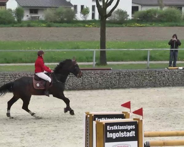 Frühjahrs-Reitturnier Ingolstadt-Hagau 2016