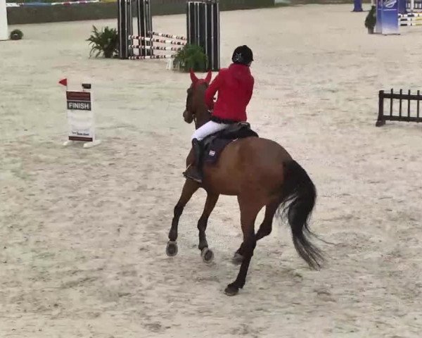Frühjahrs-Reitturnier Ingolstadt-Hagau 2016