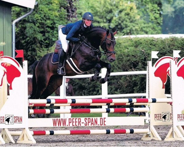 Springpferd Celebration 62 (Holsteiner, 2015, von Cornet Obolensky)