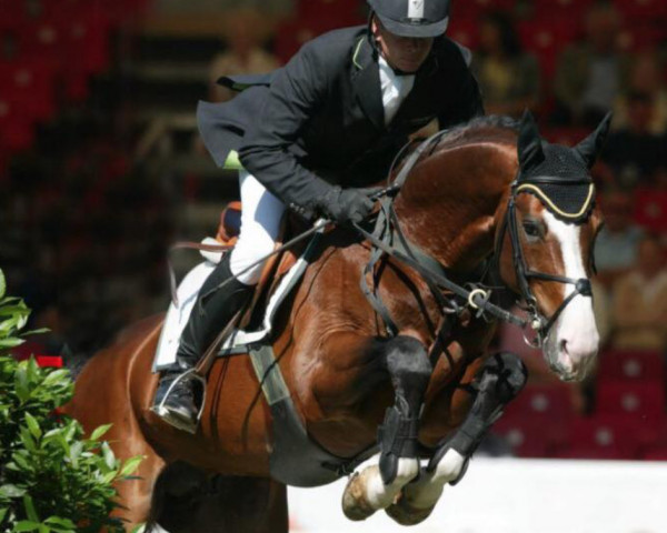 stallion Forsyth FRH (Hanoverian, 1995, from For Pleasure)