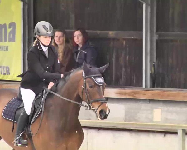 Frühjahrs-Reitturnier Ingolstadt-Hagau 2016