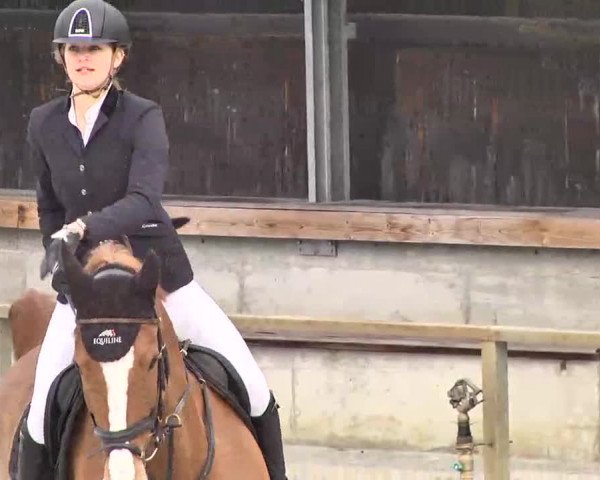 Frühjahrs-Reitturnier Ingolstadt-Hagau 2016