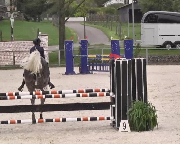 Frühjahrs-Reitturnier Ingolstadt-Hagau 2016