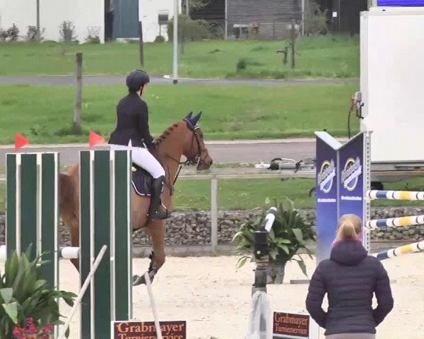 Frühjahrs-Reitturnier Ingolstadt-Hagau 2016