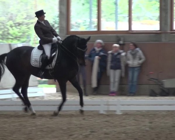 Reitturnier Leverkusen-Rheindorf 2016