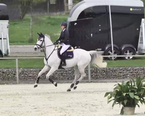Frühjahrs-Reitturnier Ingolstadt-Hagau 2016
