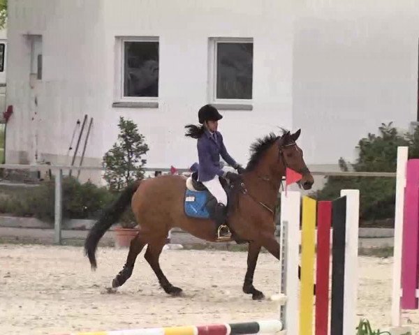 Frühjahrs-Reitturnier Ingolstadt-Hagau 2016