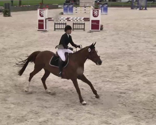 Frühjahrs-Reitturnier Ingolstadt-Hagau 2016