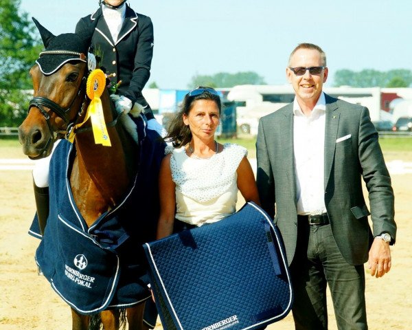 Dressurpferd German Dancer 6 (Deutsches Reitpony, 2005, von Geronimo B)
