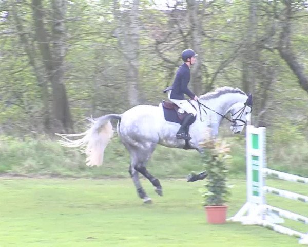 Reitturnier Heide-Hochfeld 2016