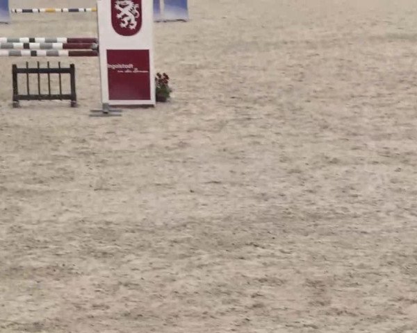 Frühjahrs-Reitturnier Ingolstadt-Hagau 2016
