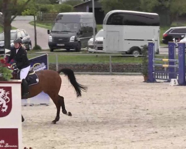 Frühjahrs-Reitturnier Ingolstadt-Hagau 2016