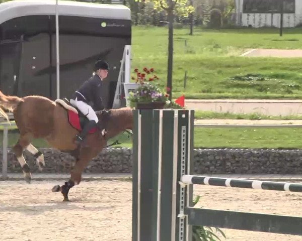 Frühjahrs-Reitturnier Ingolstadt-Hagau 2016