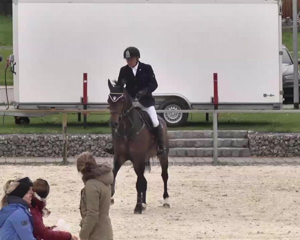Frühjahrs-Reitturnier Ingolstadt-Hagau 2016