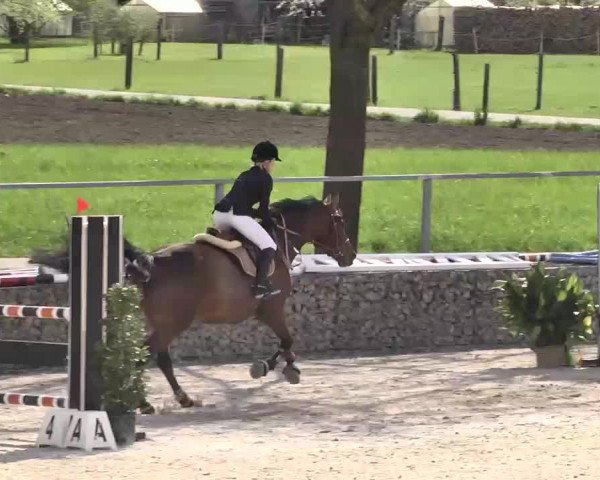 Frühjahrs-Reitturnier Ingolstadt-Hagau 2016