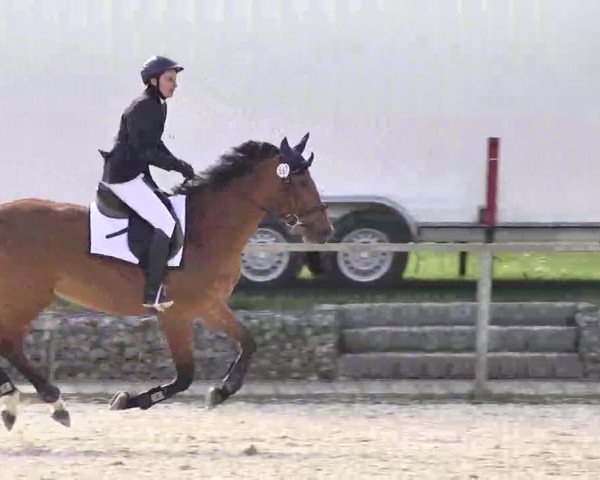 Frühjahrs-Reitturnier Ingolstadt-Hagau 2016