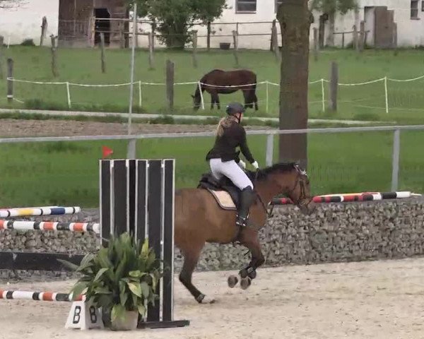Frühjahrs-Reitturnier Ingolstadt-Hagau 2016