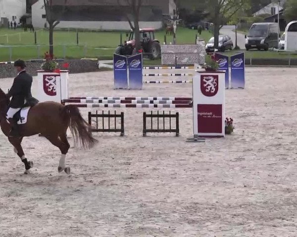 Frühjahrs-Reitturnier Ingolstadt-Hagau 2016
