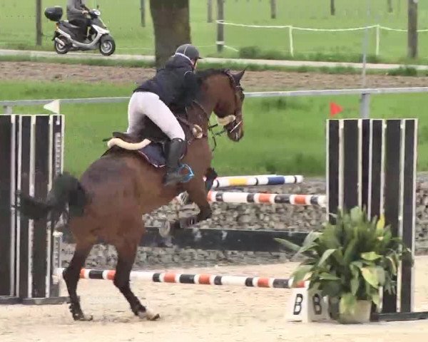 Frühjahrs-Reitturnier Ingolstadt-Hagau 2016