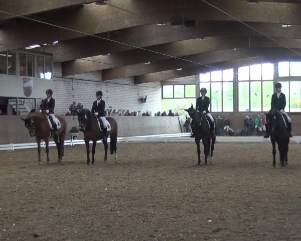 Reitturnier Leverkusen-Rheindorf 2016