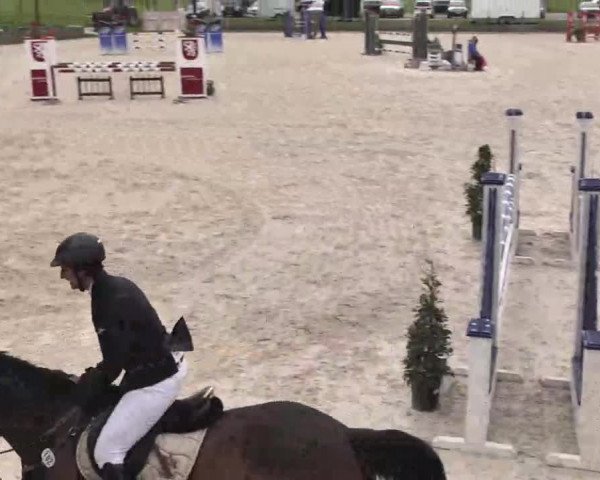 Frühjahrs-Reitturnier Ingolstadt-Hagau 2016