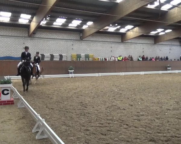 Reitturnier Leverkusen-Rheindorf 2016