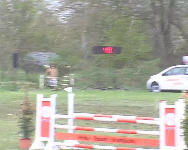 Reitturnier Heide-Hochfeld 2016