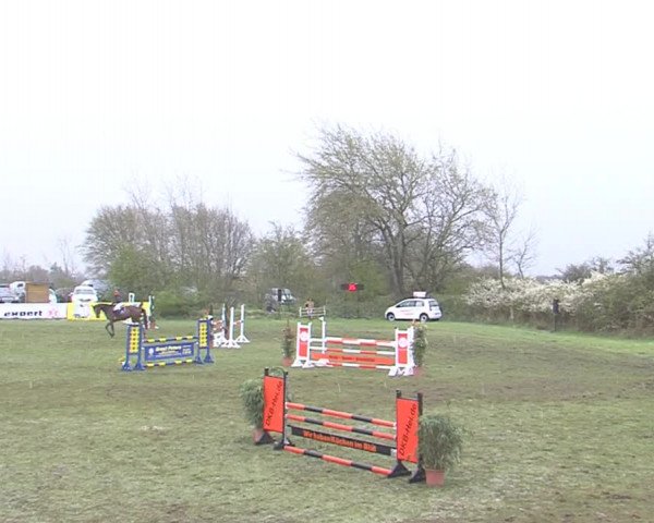Reitturnier Heide-Hochfeld 2016