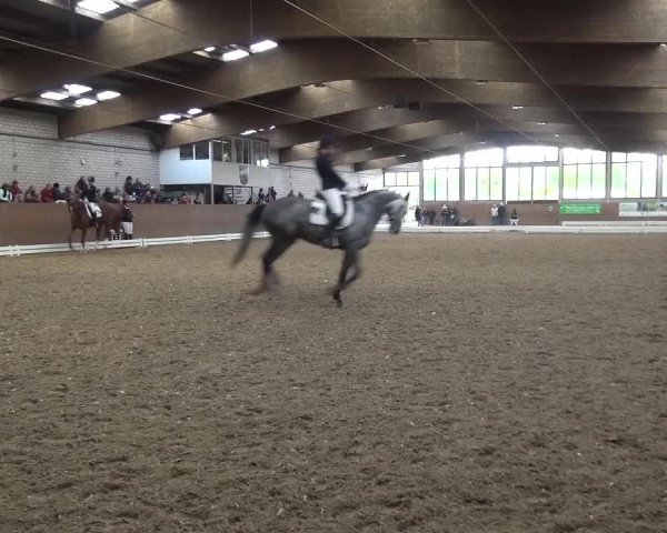 Reitturnier Leverkusen-Rheindorf 2016